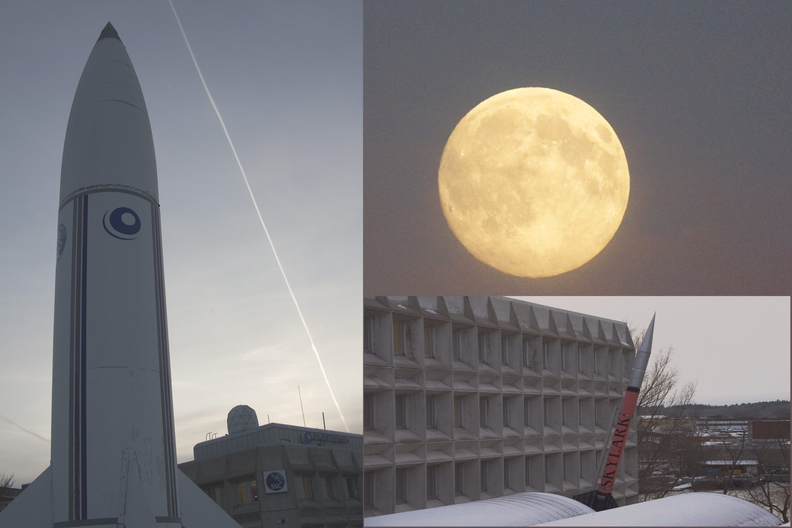 Intelligent liv i universum